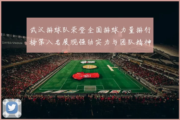 武汉排球队荣登全国排球力量排行榜第八名展现强劲实力与团队精神