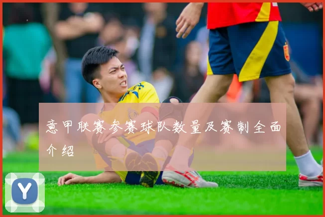 意甲联赛参赛球队数量及赛制全面介绍