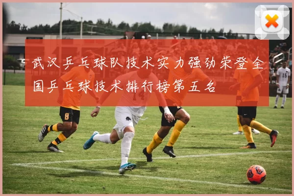 武汉乒乓球队技术实力强劲荣登全国乒乓球技术排行榜第五名