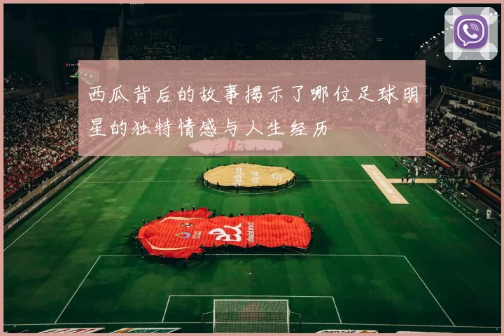 西瓜背后的故事揭示了哪位足球明星的独特情感与人生经历