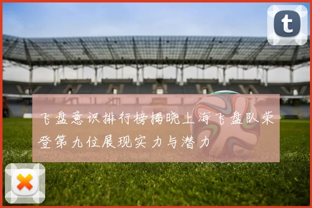 飞盘意识排行榜揭晓上海飞盘队荣登第九位展现实力与潜力