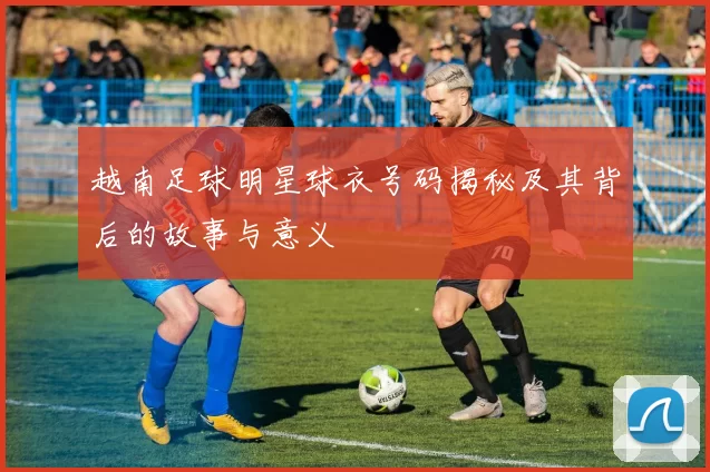 越南足球明星球衣号码揭秘及其背后的故事与意义