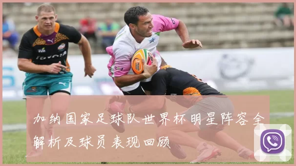 加纳国家足球队世界杯明星阵容全解析及球员表现回顾