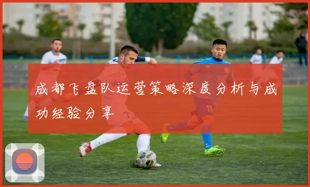 成都飞盘队运营策略深度分析与成功经验分享