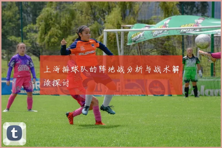 上海排球队的阵地战分析与战术解读探讨