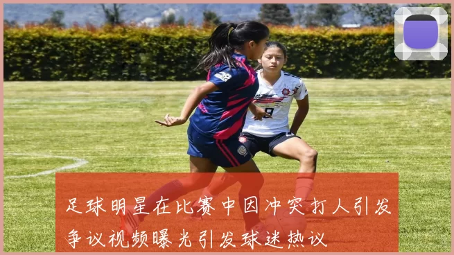 足球明星在比赛中因冲突打人引发争议视频曝光引发球迷热议