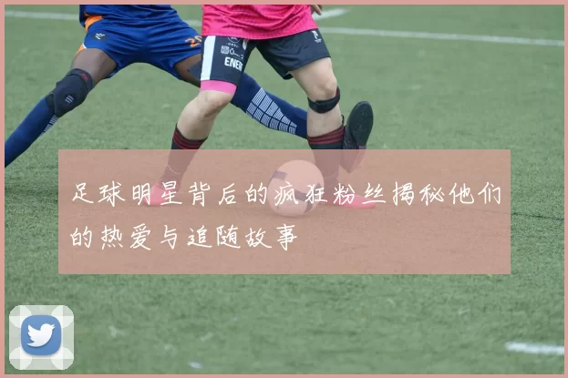足球明星背后的疯狂粉丝揭秘他们的热爱与追随故事