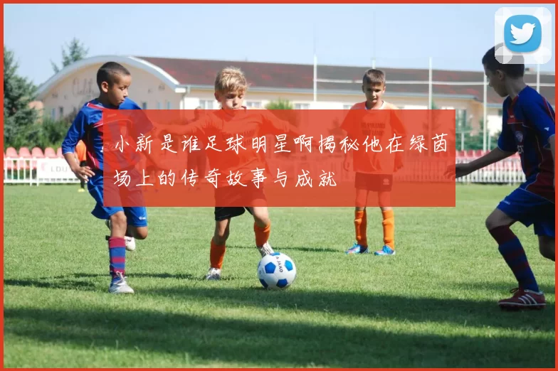 小新是谁足球明星啊揭秘他在绿茵场上的传奇故事与成就