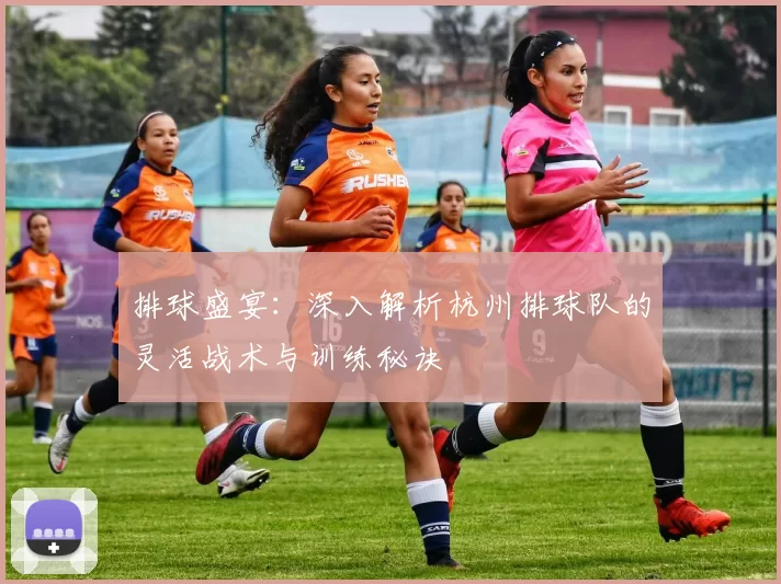 排球盛宴：深入解析杭州排球队的灵活战术与训练秘诀