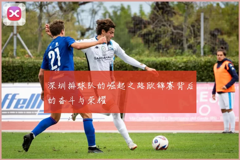 深圳排球队的崛起之路欧锦赛背后的奋斗与荣耀