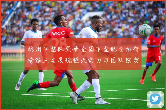 杭州飞盘队荣登全国飞盘配合排行榜第三名展现强大实力与团队默契