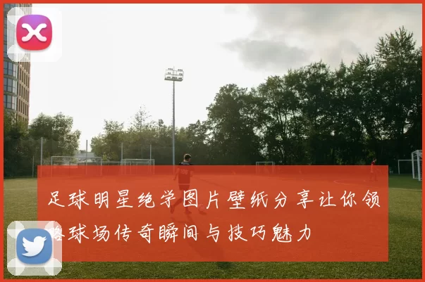 足球明星绝学图片壁纸分享让你领略球场传奇瞬间与技巧魅力