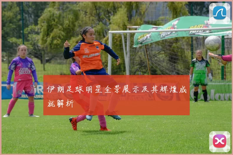 伊朗足球明星全景展示及其辉煌成就解析