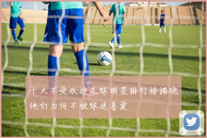 十大不受欢迎足球明星排行榜揭晓他们为何不被球迷喜爱