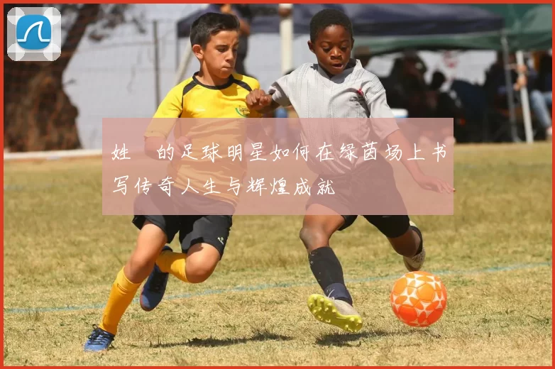 姓凪的足球明星如何在绿茵场上书写传奇人生与辉煌成就