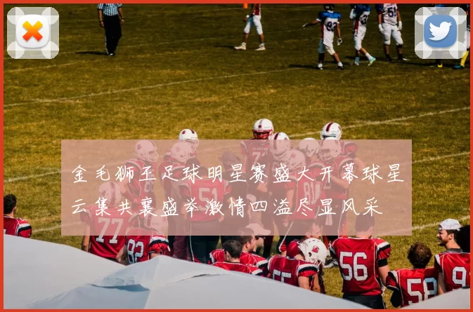 金毛狮王足球明星赛盛大开幕球星云集共襄盛举激情四溢尽显风采