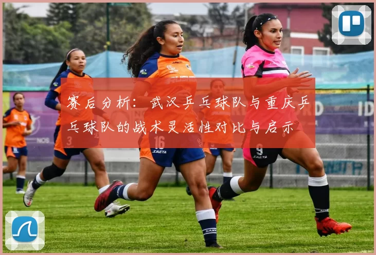 赛后分析：武汉乒乓球队与重庆乒乓球队的战术灵活性对比与启示