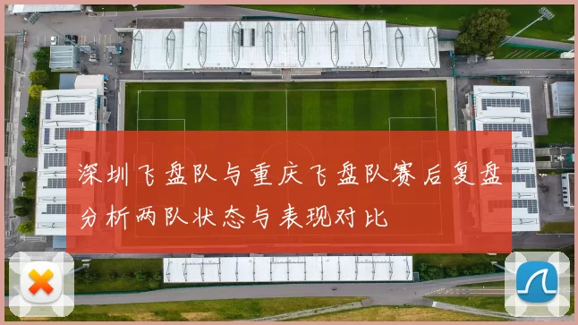 深圳飞盘队与重庆飞盘队赛后复盘分析两队状态与表现对比