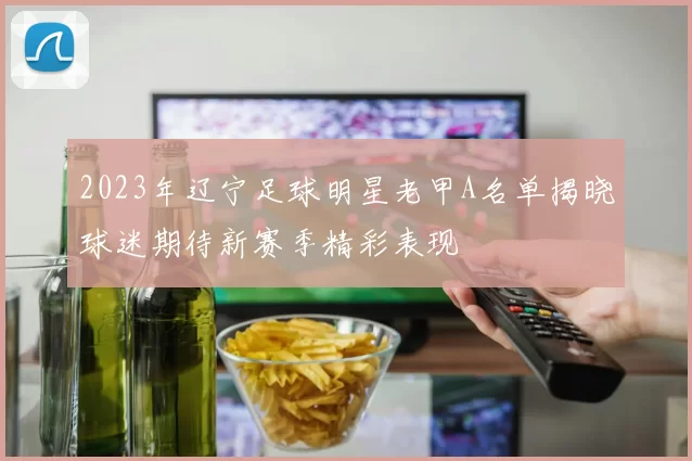 2023年辽宁足球明星老甲A名单揭晓球迷期待新赛季精彩表现
