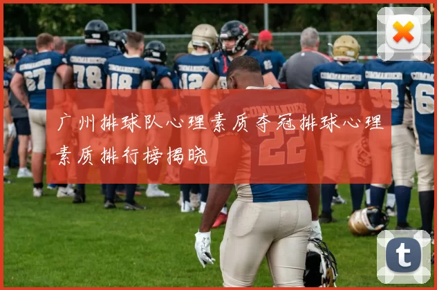 广州排球队心理素质夺冠排球心理素质排行榜揭晓