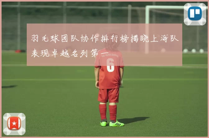 羽毛球团队协作排行榜揭晓上海队表现卓越名列第一