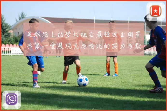 足球场上的梦幻组合最强攻击明星齐聚一堂展现无与伦比的实力与默契