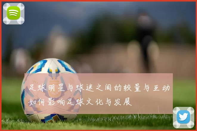 足球明星与球迷之间的较量与互动如何影响足球文化与发展