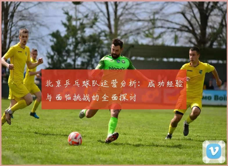 北京乒乓球队运营分析：成功经验与面临挑战的全面探讨