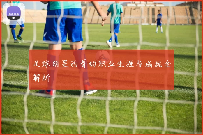 足球明星西哥的职业生涯与成就全解析