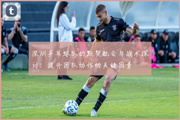 深圳乒乓球队的默契配合与战术探讨：提升团队协作的关键因素