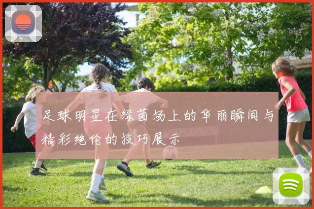 足球明星在绿茵场上的华丽瞬间与精彩绝伦的技巧展示