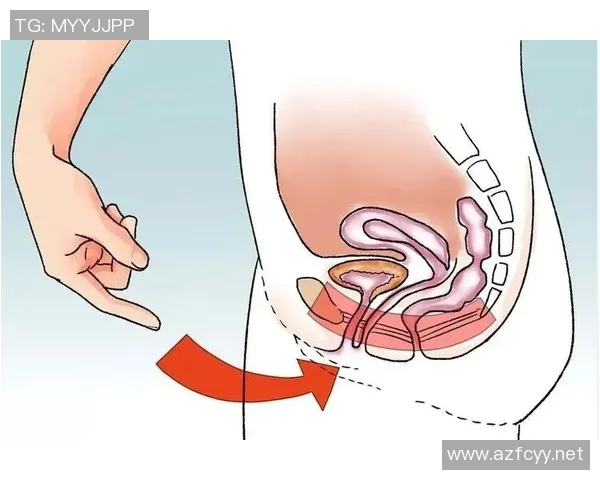 提升盆底健康 从凯格尔运动开始 让生活更加轻松自在 提升盆底健康 从凯格尔运动开始 让生活更加轻松自在