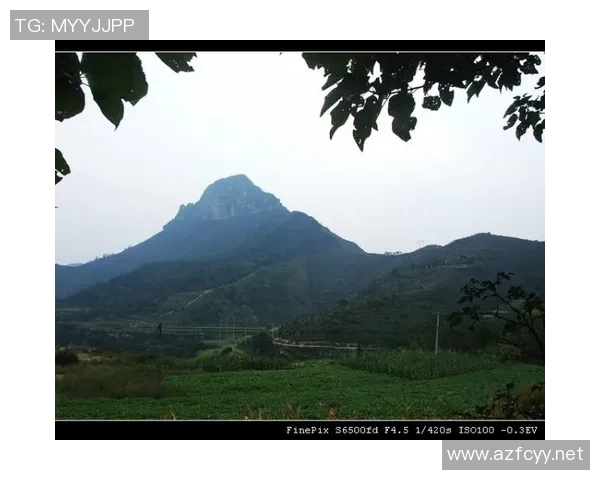 赵秀英亲述攀岩技巧与心得体会助你轻松征服高峰